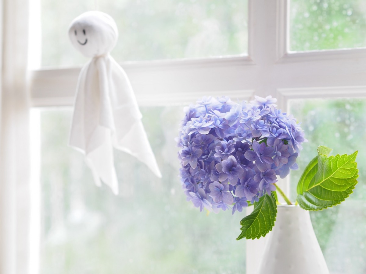 梅雨、古傷が痛む