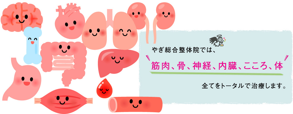 やぎ総合整体院では、筋肉、骨、神経、内臓、こころ、体全てをトータルで治療します。